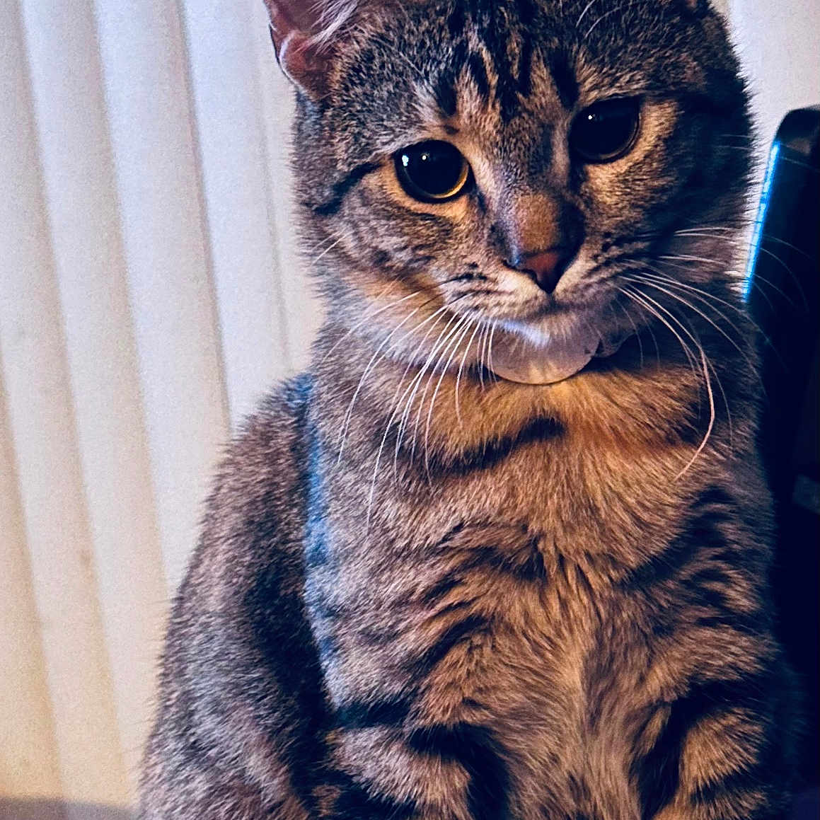 Rey