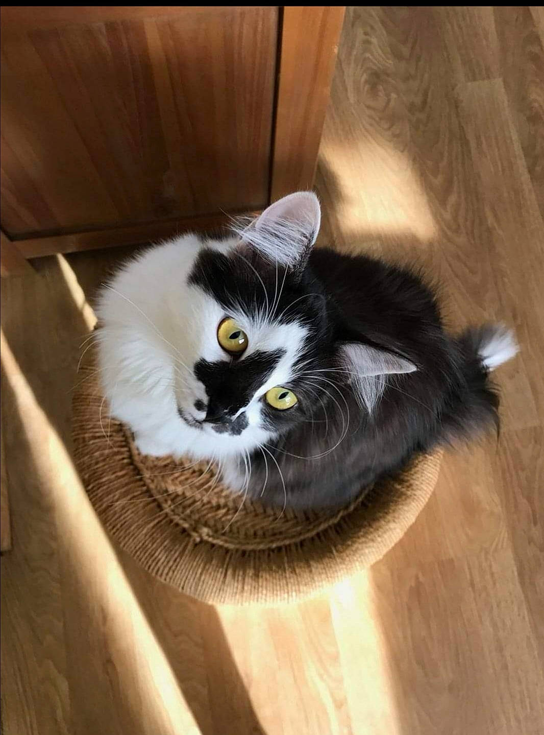 Malia