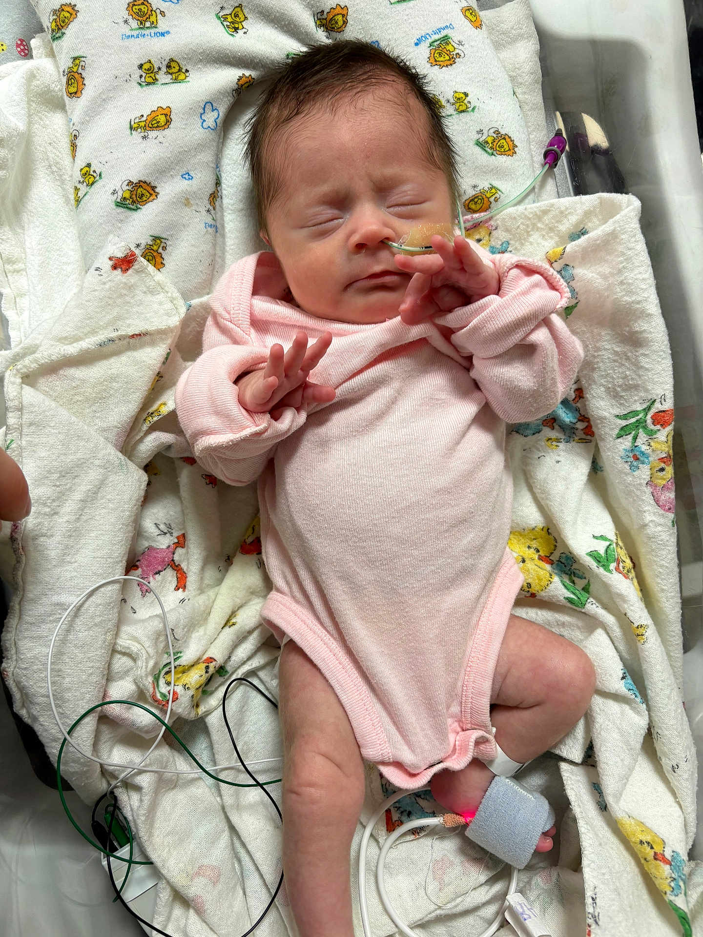 Kingsley is registered to the contest to win money with this photo: newborn, baby, infant, pink_onesie, sleeping, hospital, nasal_tube, monitoring_wires, blanket, animal_pattern, medical_care, healthcare, patient, cute, small, fragile, lying_down, hand, foot, face