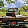 Rocky is registered to the contest to win money with this photo: dog, animal, pet, plaid_shirt, dressed_dog, sitting, truck, pickup_truck, farm, wooden_trailer, spare_tire, outdoors, rural, trees, leaves, grass, cloudy_sky, vintage_vehicle, license_plate, portrait