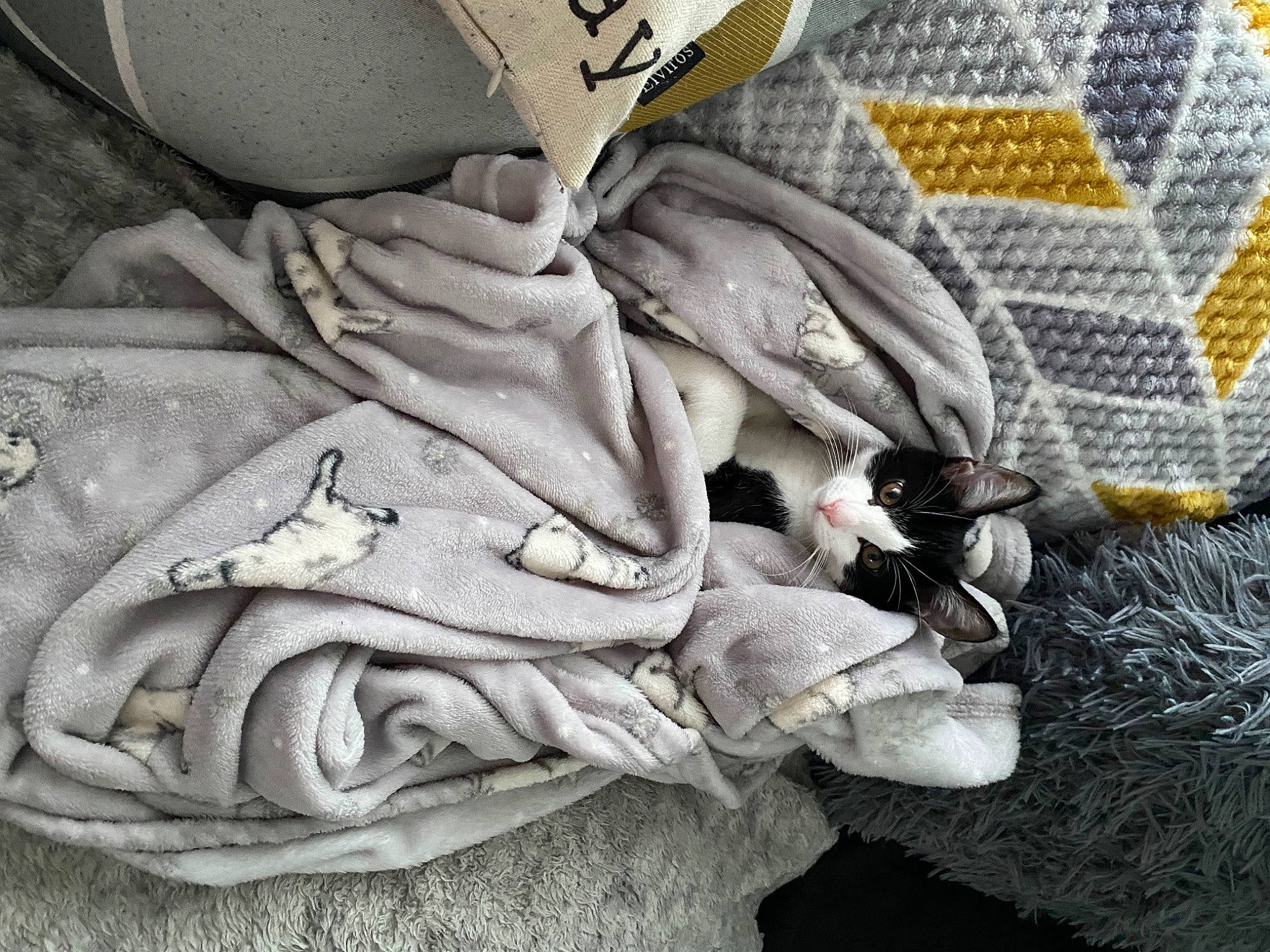 Bobby is registered to the contest to win money with this photo: art, automotive_wheel_system, carmine, classical_sculpture, fashion_accessory, fictional_character, grey, linens, metal, monochrome, monument, mythology, pattern, petal, relief, sculpture, statue, still_life_photography, visual_arts, wing