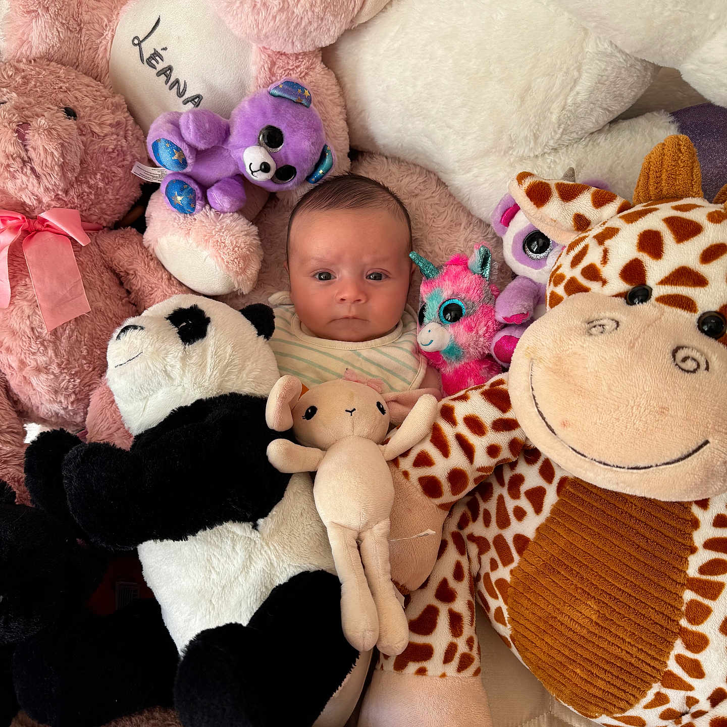 Thélyo a rejoint le concours — aidez-le/la à gagner de superbes lots ! baby, bedroom, child, closeup, comfort, cuddly, cute, elephant, expression, face, giraffe, indoor, panda, pink_bear, plush_toys, purple_bear, soft_toys, stuffed_animals, toy_collection, unicorn