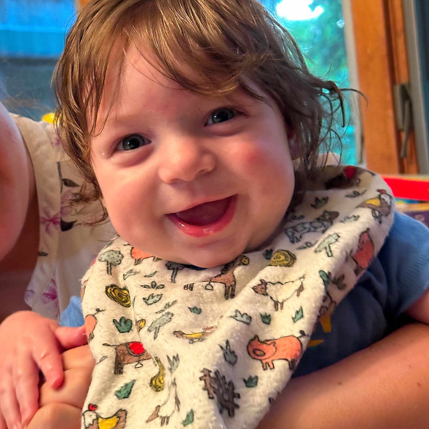 Wesley is registered to the contest to win money with this photo: animal_print, baby, bib, child, clothing, colorful, curly_hair, cute, expression, face, hand, happy, holding, indoor, person, portrait, skin, smile, window, young_child