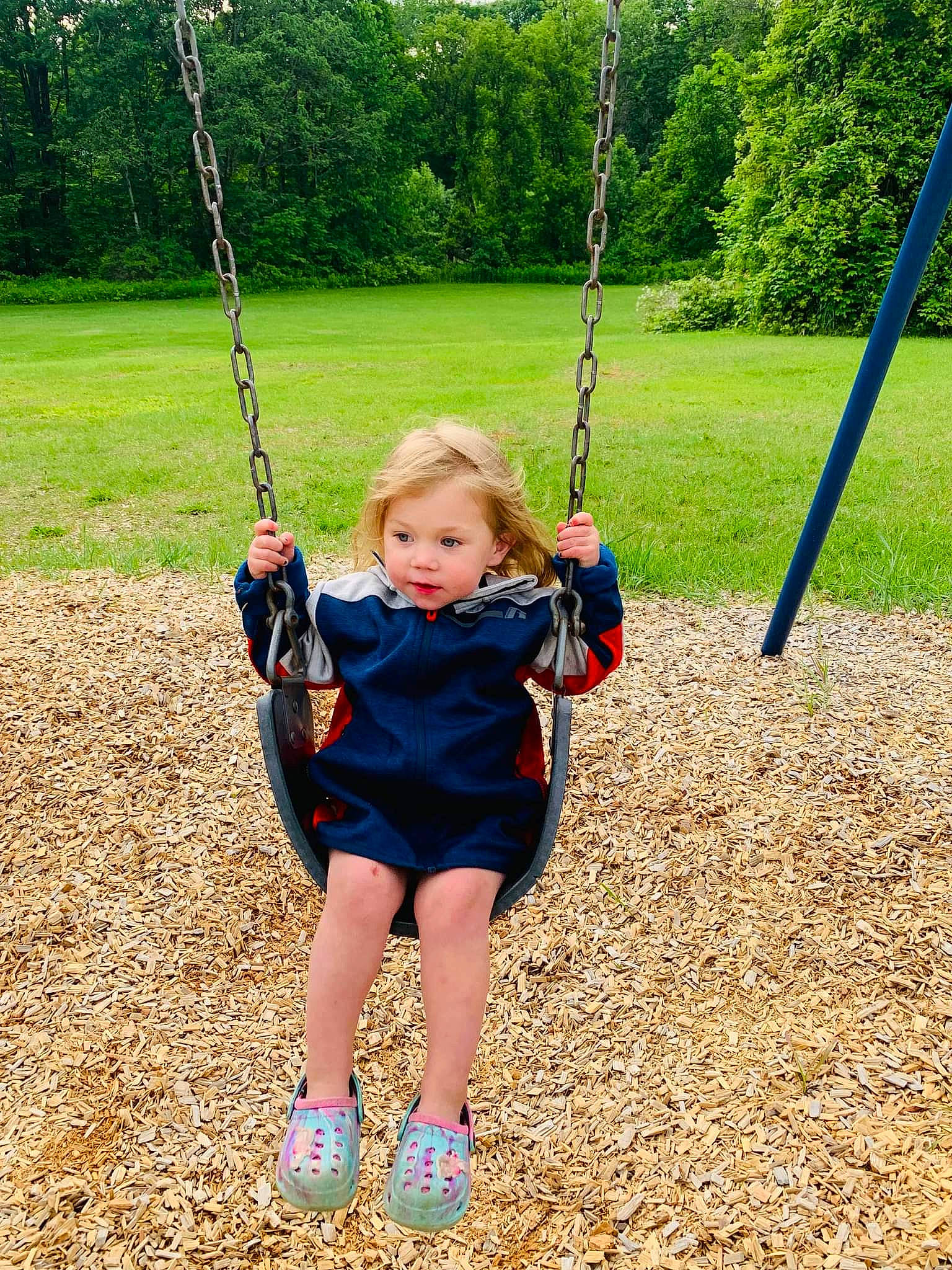 Avianna is registered to the contest to win money with this photo: child, city, electric_blue, fun, grass, happy, leaf, leisure, outdoor_play_equipment, people_in_nature, person, plant, play, playground, playing_sports, recreation, soil, swing, toddler, tree