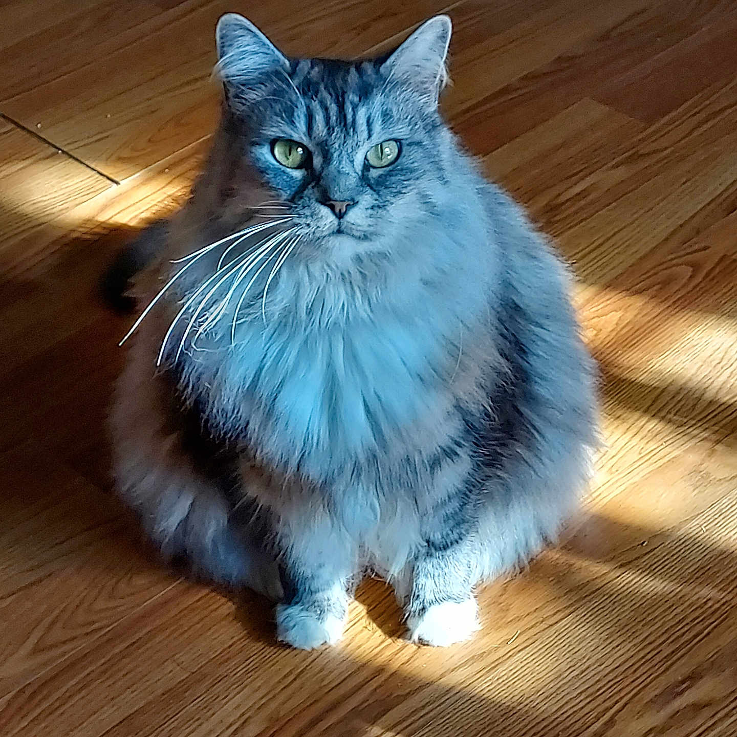 Tugger
