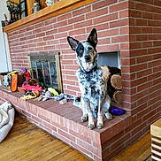 Flex joined the competition — help win amazing prizes! dog, dog_face, speckled_coat, fireplace, brick, hearth, firewood, dog_toys, basket, living_room, hardwood_floor, collar, sitting, attentive, indoor, pet, home_decor, blanket, shelf_items, cozy