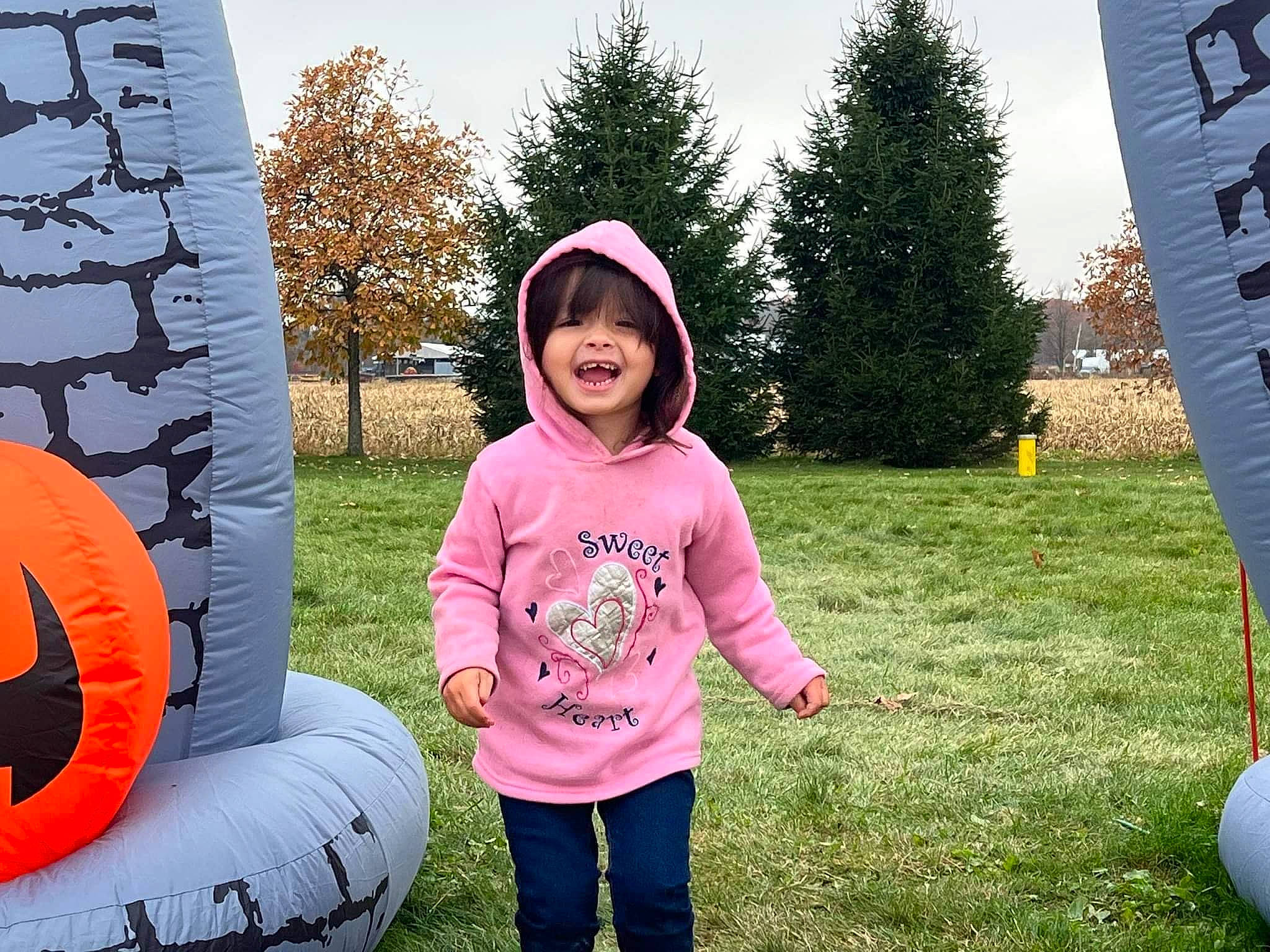 Lana is registered to the contest to win money with this photo: automotive_tire, cap, child, fun, games, grass, happy, leisure, magenta, outdoor_play_equipment, people_in_nature, person, pink, plant, play, recreation, sky, smile, t_shirt, toddler