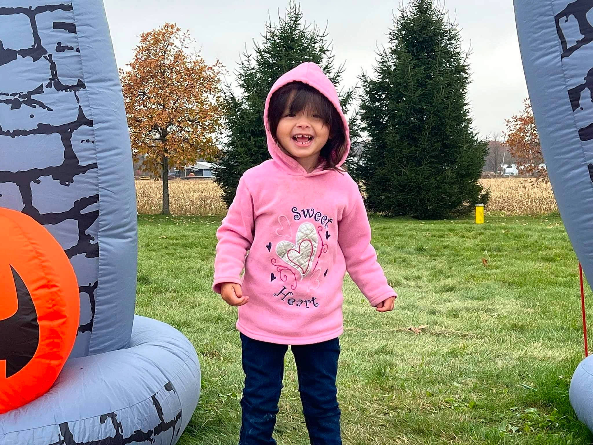 Lana is registered to the contest to win money with this photo: automotive_tire, cap, child, fun, games, grass, happy, hoodie, joy, leisure, magenta, people_in_nature, person, pink, plant, play, recreation, sky, smile, t_shirt