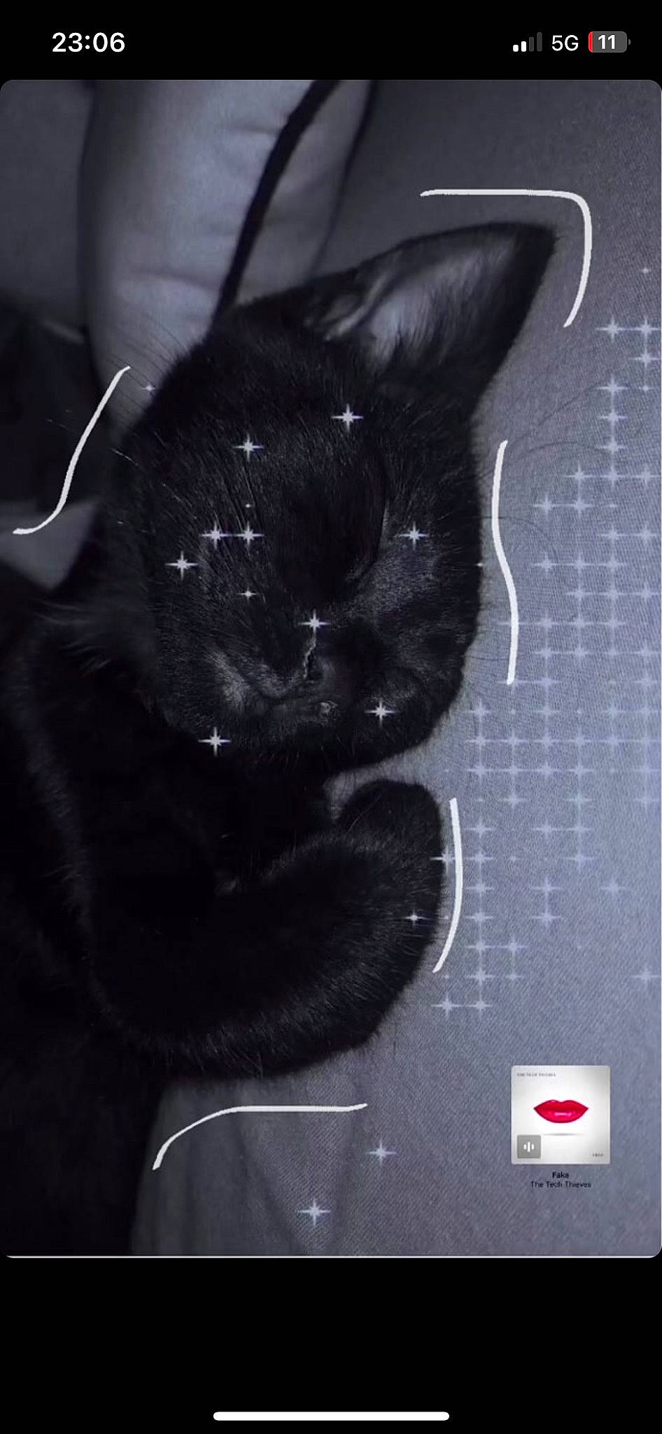 Dior participe au concours pour gagner de l'argent avec cette photo : black_cat, carnivore, cat, claw, comfort, darkness, domestic_short_haired_cat, ear, felidae, font, foot, fur, gesture, paw, shadow, small_to_medium_sized_cats, snout, tail, terrestrial_animal, whiskers