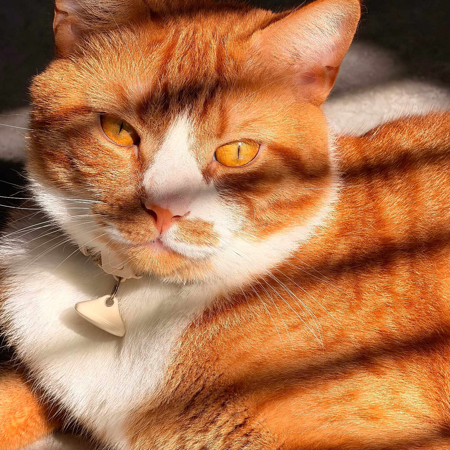 Otto