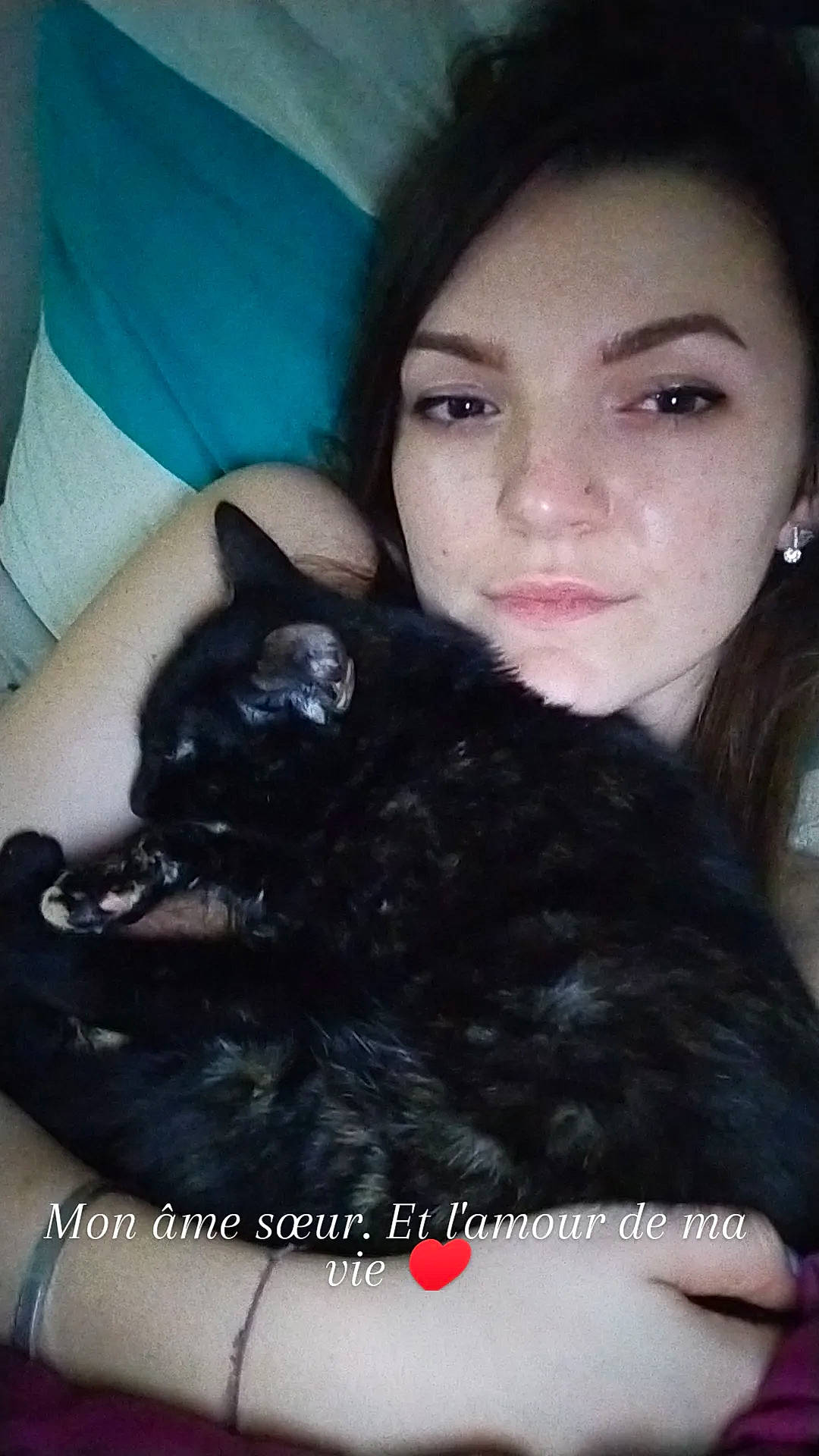 Mystik a rejoint le concours — aidez-le/la à gagner de superbes lots ! carnivore, cat, cheek, comfort, dog_breed, ear, eye, eyelash, felidae, gesture, head, iris, jaw, lip, neck, nose, organ, skin, small_to_medium_sized_cats, vertebrate