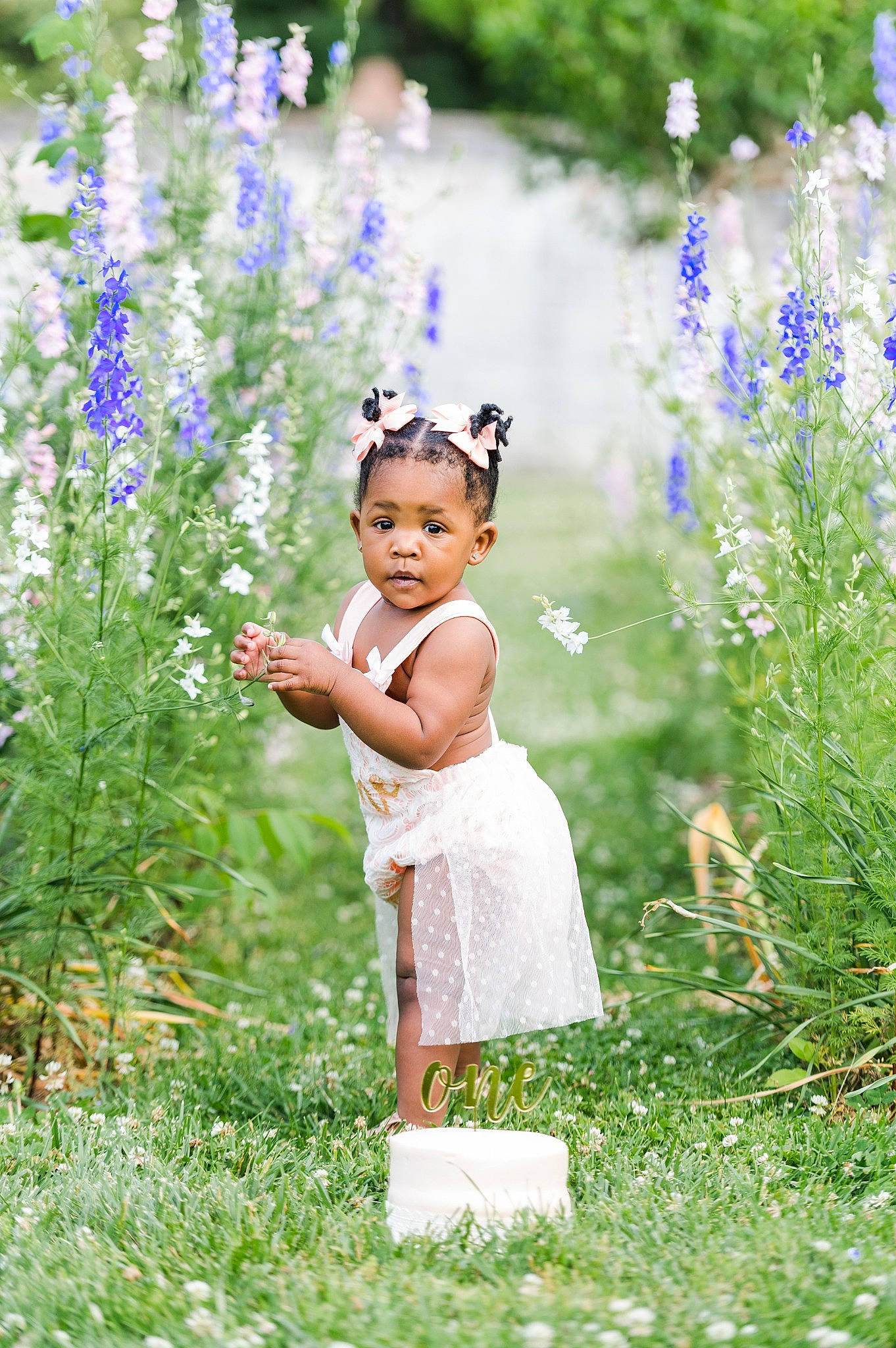 Anastasia is registered to the contest to win money with this photo: annual_plant, beauty, day_dress, electric_blue, flower, flowering_plant, formal_wear, grass, grass_family, grassland, groundcover, happy, herbaceous_plant, meadow, people_in_nature, person, plant, prairie, purple, shrub