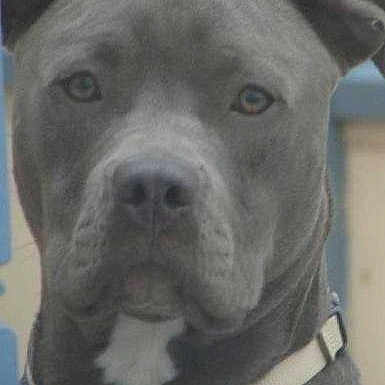 Bubba