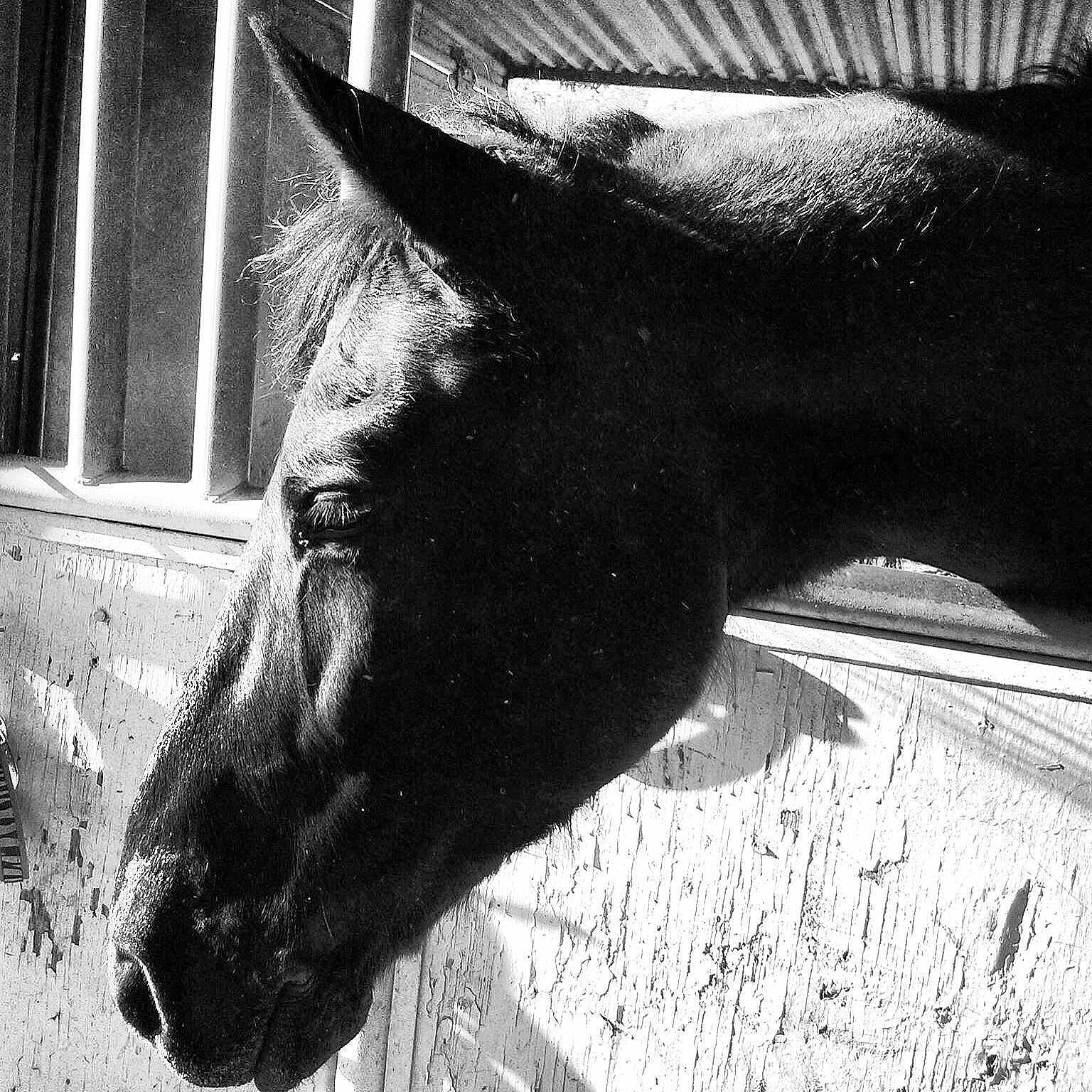 Romeo