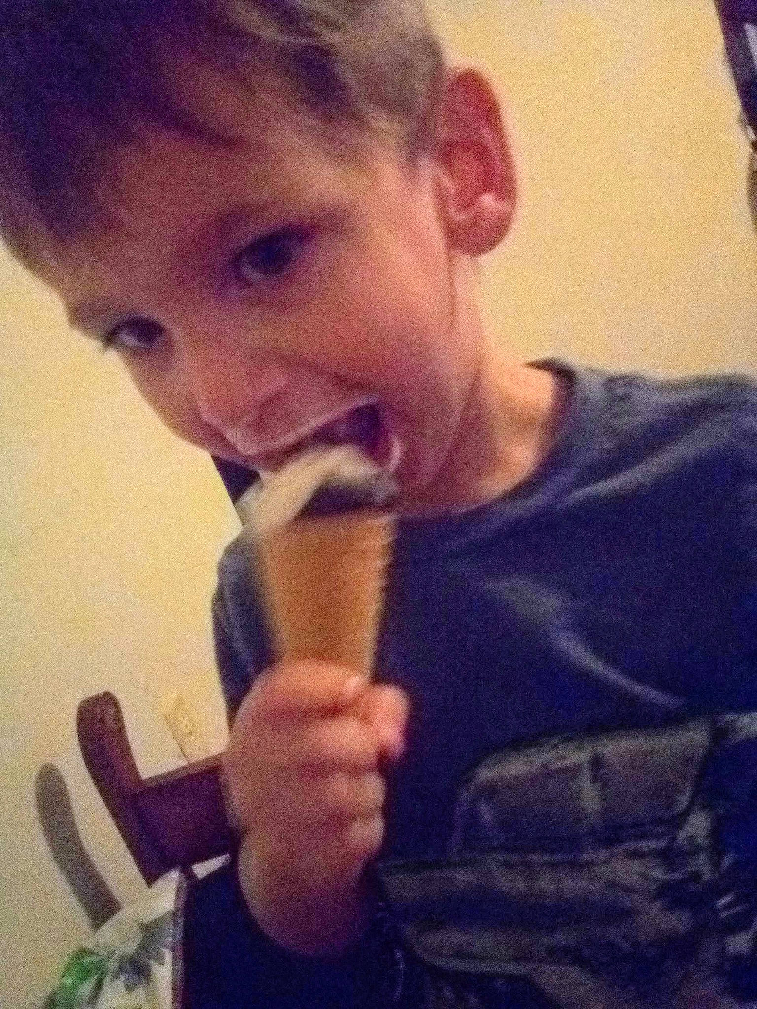 Rex is registered to the contest to win money with this photo: beard, child, facial_hair, hair, jaw, mouth, nose, person, photography, selfie, tin_whistle