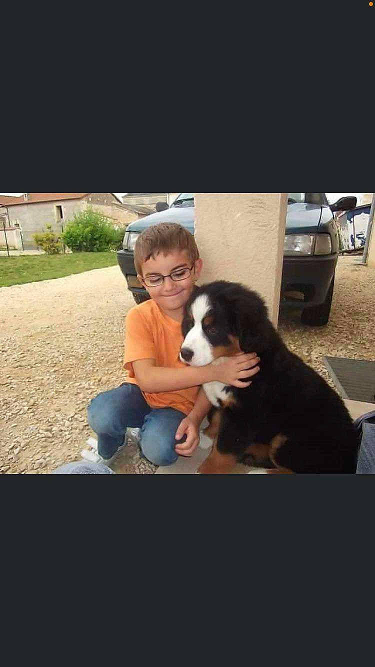 Gommette a rejoint le concours — aidez-le/la à gagner de superbes lots ! carnivore, companion_dog, dog, dog_breed, eyewear, fun, fur, glasses, happy, jeans, leisure, plant, recreation, sitting, smile, sporting_group, sunglasses, t_shirt, working_animal, working_dog