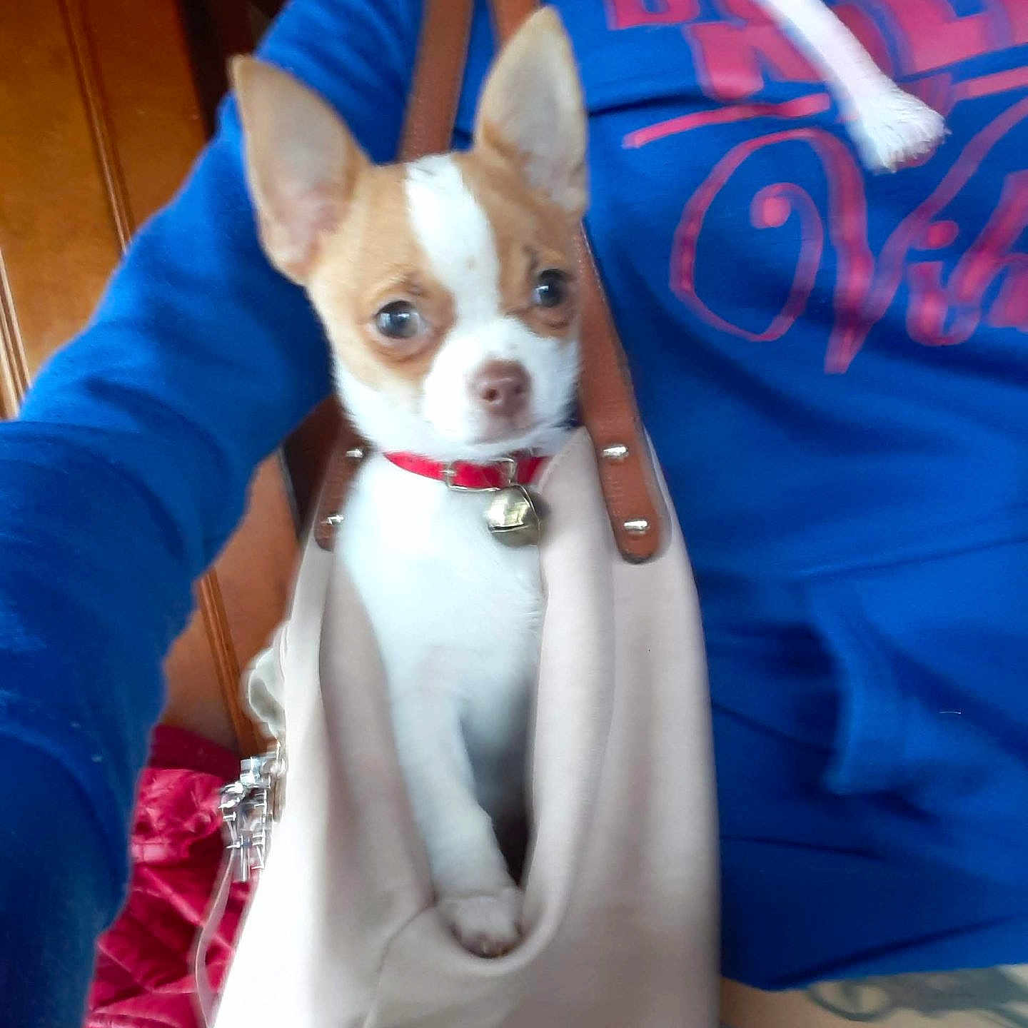 Skye