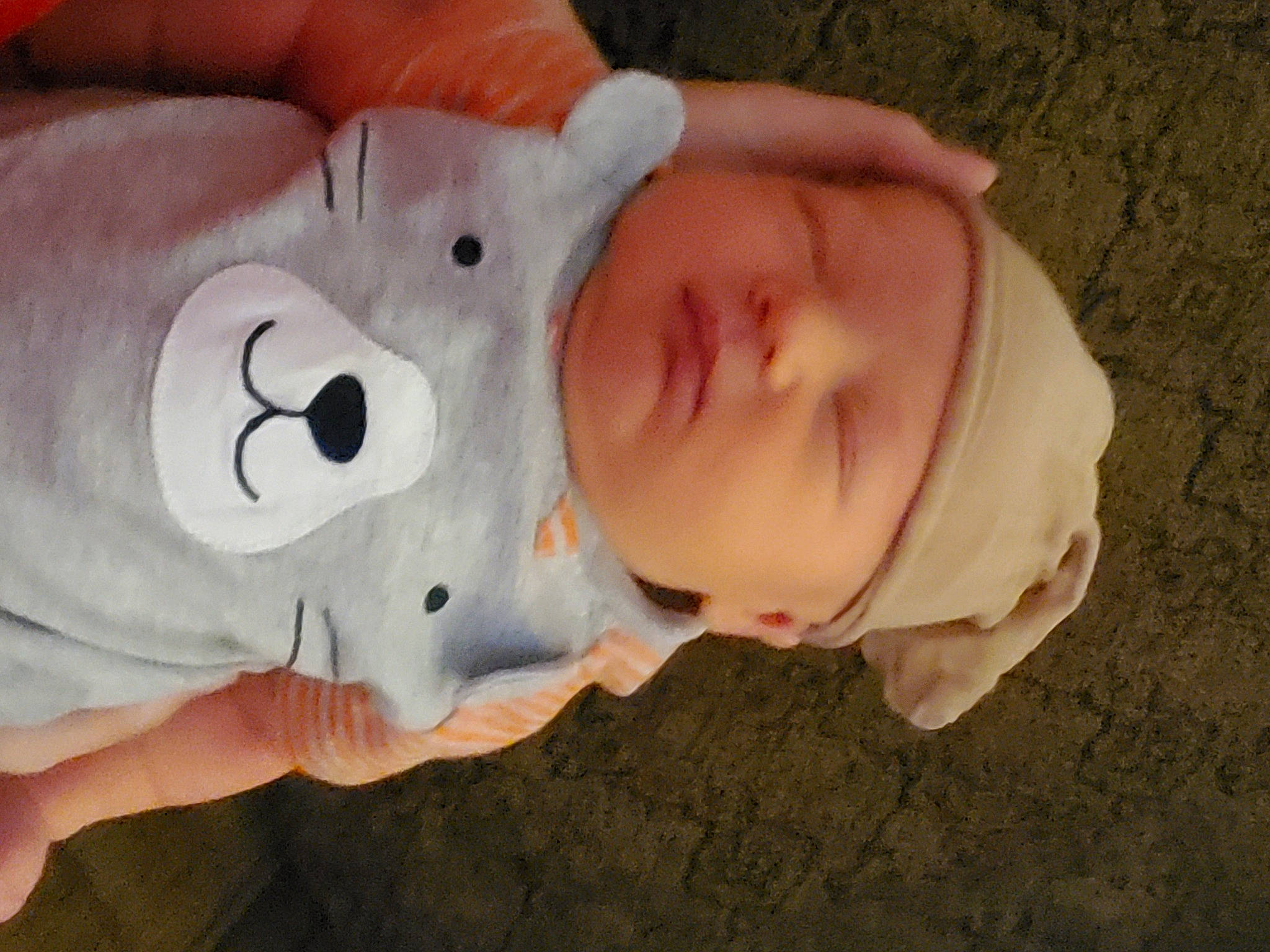 Weston is registered to the contest to win money with this photo: baby, child, domestic_pig, ear, headwear, mouth, nose, person, snout