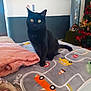 black_cat, cat, pet, indoor, blanket, play_mat, toy_cars, christmas_tree, holiday_decor, festive, curious, animal, fur, whiskers, ears, eyes, cozy, home, furniture, decorations