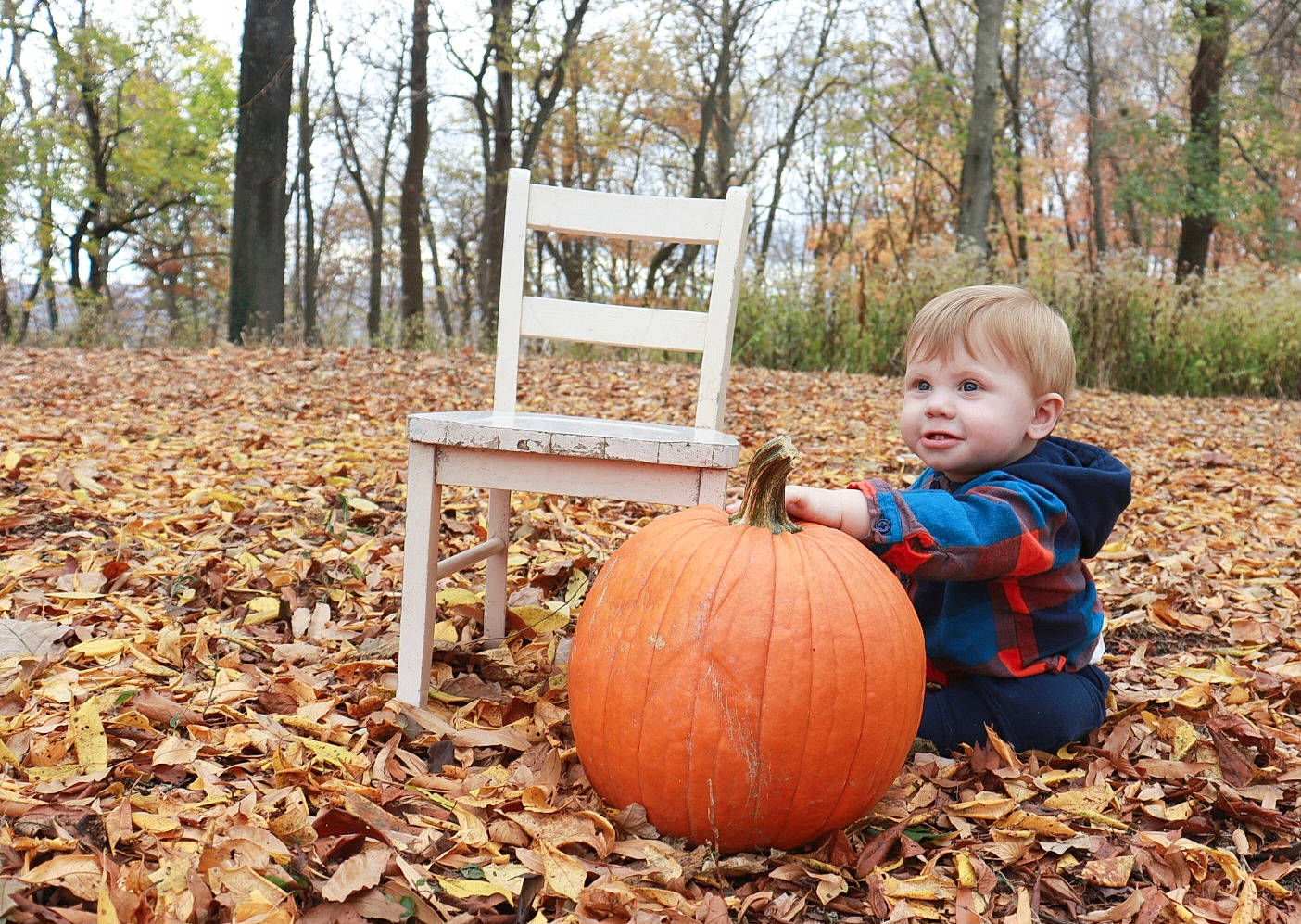 Clayton joined the competition — help win amazing prizes! calabaza, cucurbita, deciduous, forest, fruit, gourd, grass, landscape, leaf, natural_landscape, people_in_nature, person, plant, pumpkin, squash, toddler, tree, vegetable, winter_squash, wood