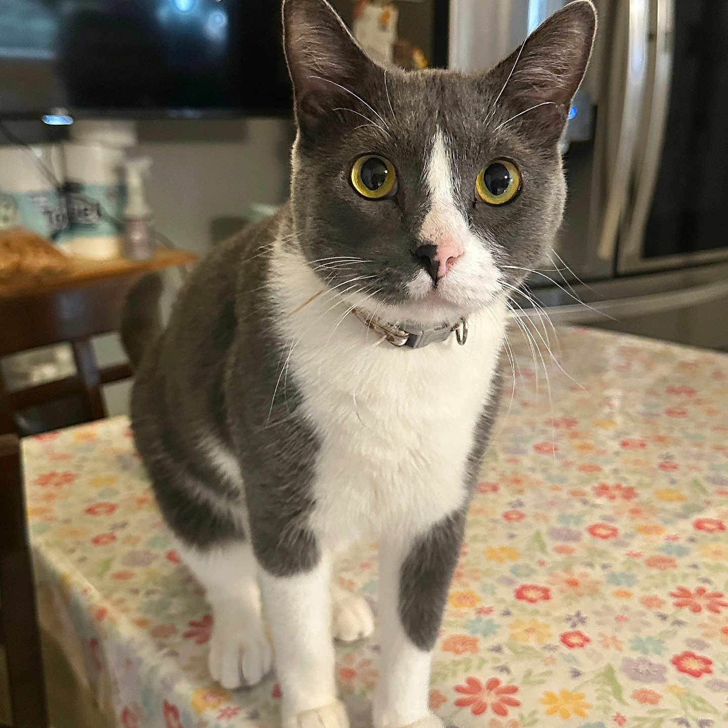 Lenny