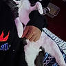 Lenny is registered to the contest to win money with this photo: cat, sleeping, person, hand, black_hoodie, flame_graphic, blanket, patterned_blanket, indoor, relaxed, pet, fur, paw, resting, cozy, nap, animal, comfort, domestic, bedroom