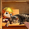 cat, tabby, sleeping, plush_doll, sunlight, wooden_shelf, cozy, indoor, animal, cute, relaxing, pet, feline, toy, orange, yellow, fur, peaceful, resting, warm