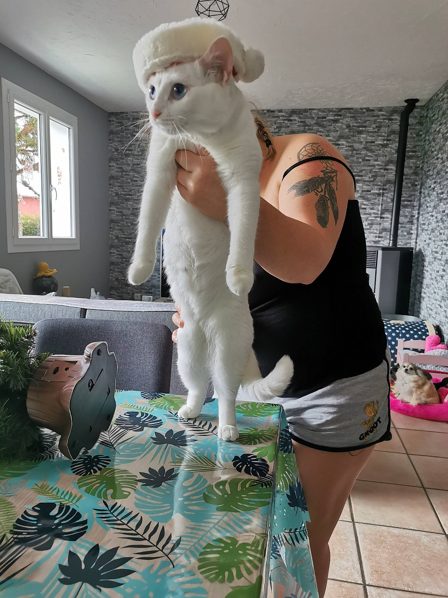 Perle a rejoint le concours — aidez-le/la à gagner de superbes lots ! costume, fawn, fur, plush, room, sheep, stuffed_toy