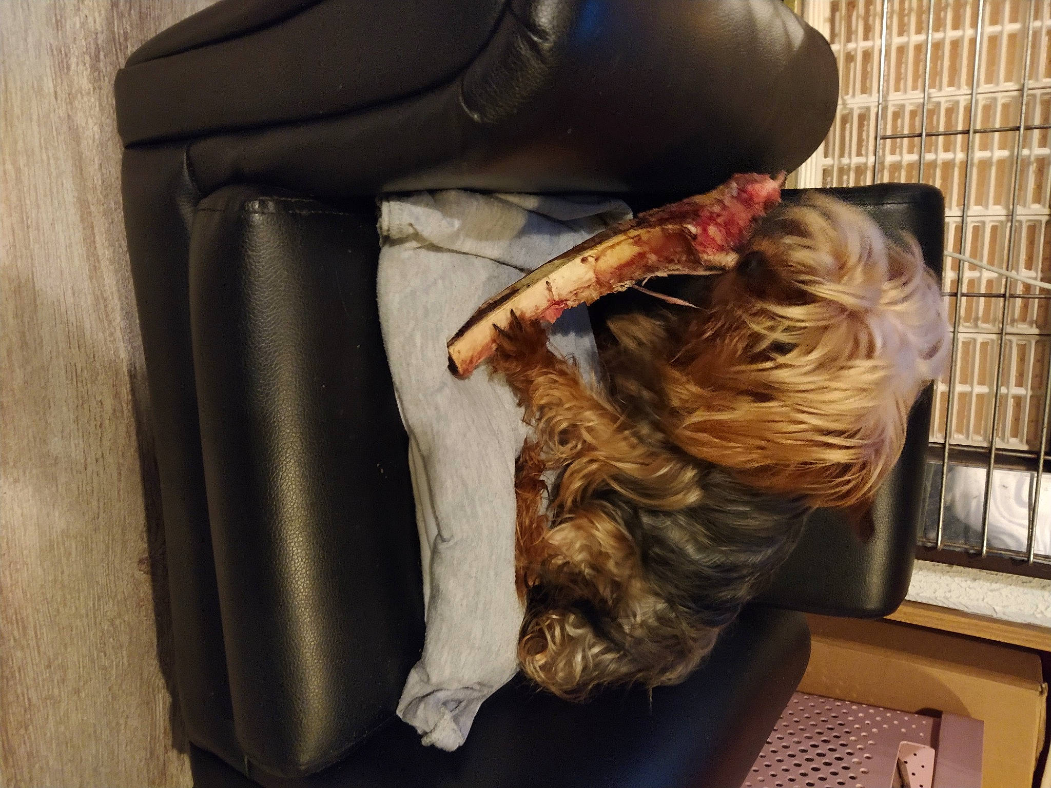 Madison a rejoint le concours — aidez-le/la à gagner de superbes lots ! footwear, fur, shoe