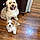Marley And Kobe