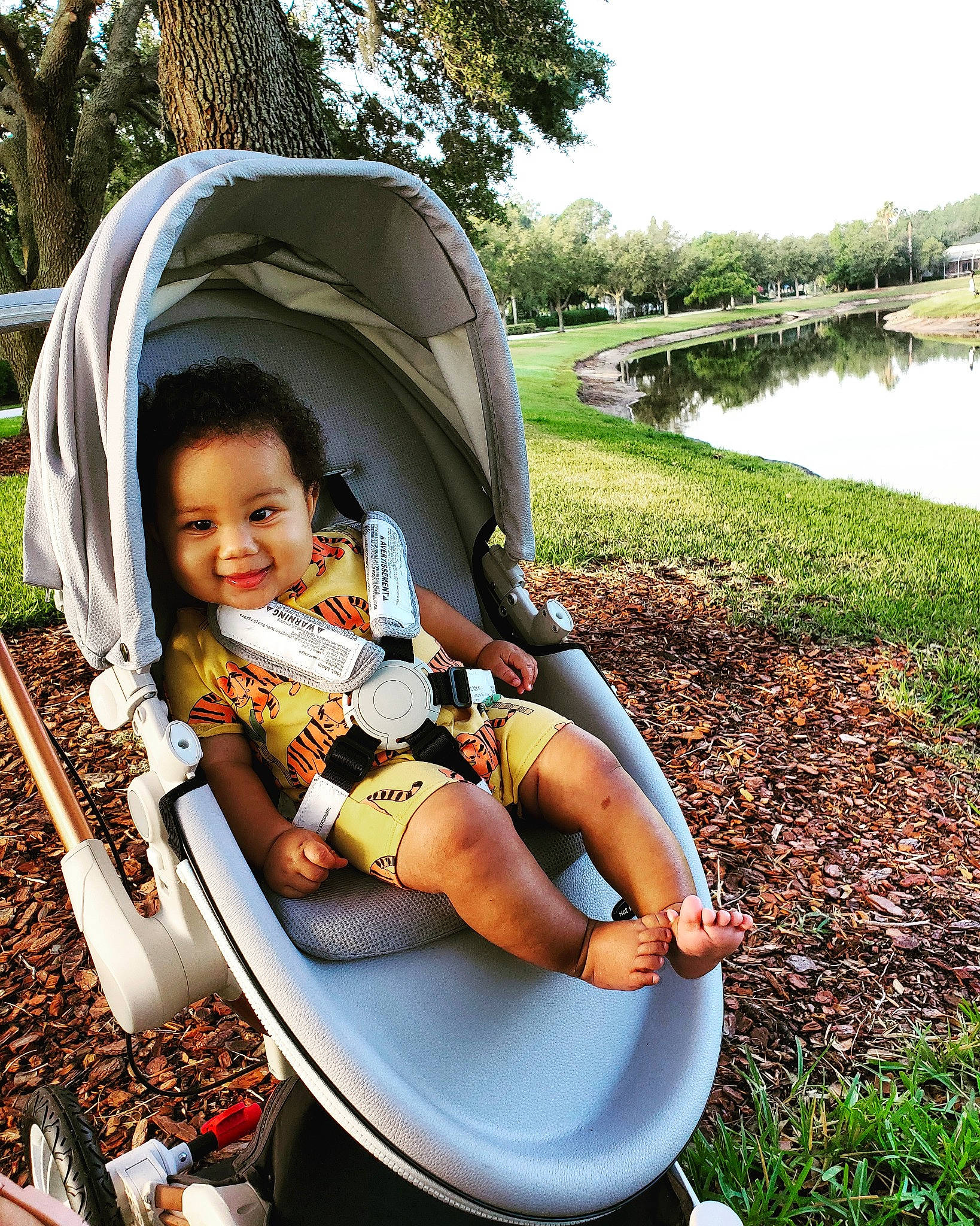 Jeremy joined the competition — help win amazing prizes! baby, baby_carriage, baby_products, comfort, fun, grass, green, happy, joy, lake, lap, leisure, people_in_nature, person, plant, recreation, sky, smile, toddler, travel