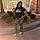 Toya T.