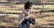 Camille joined the competition — help win amazing prizes! child, dog, outdoor, park, tree, grass, sunlight, shadow, picnic_table, curly_hair, dress, petting, animal, nature, playful, friendship, summer, young_child, canine, leash