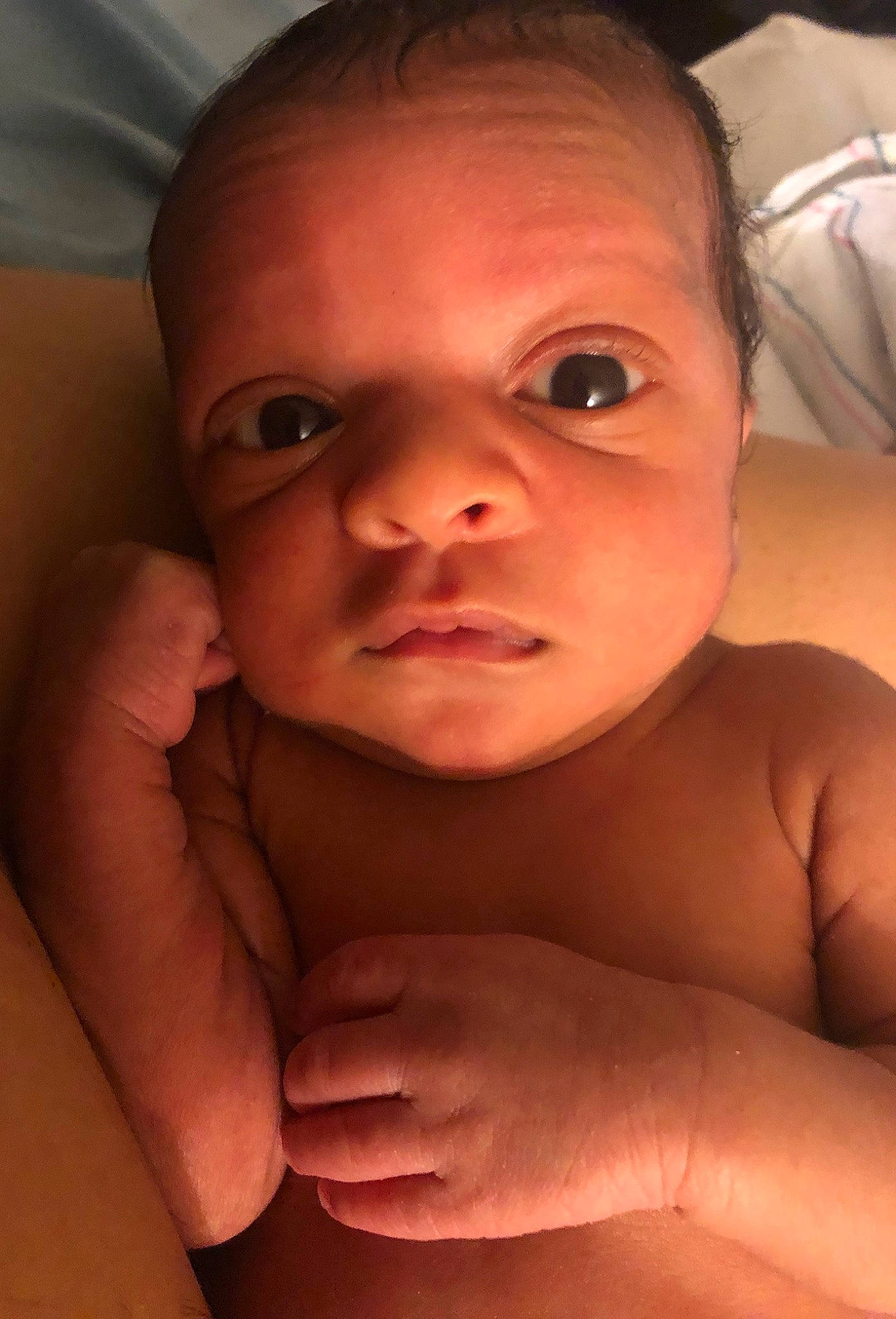 Cory joined the competition — help win amazing prizes! baby, cheek, child, chin, close_up, eye, eyebrow, face, finger, forehead, hand, head, lip, mouth, muscle, neck, nose, person, skin, toddler