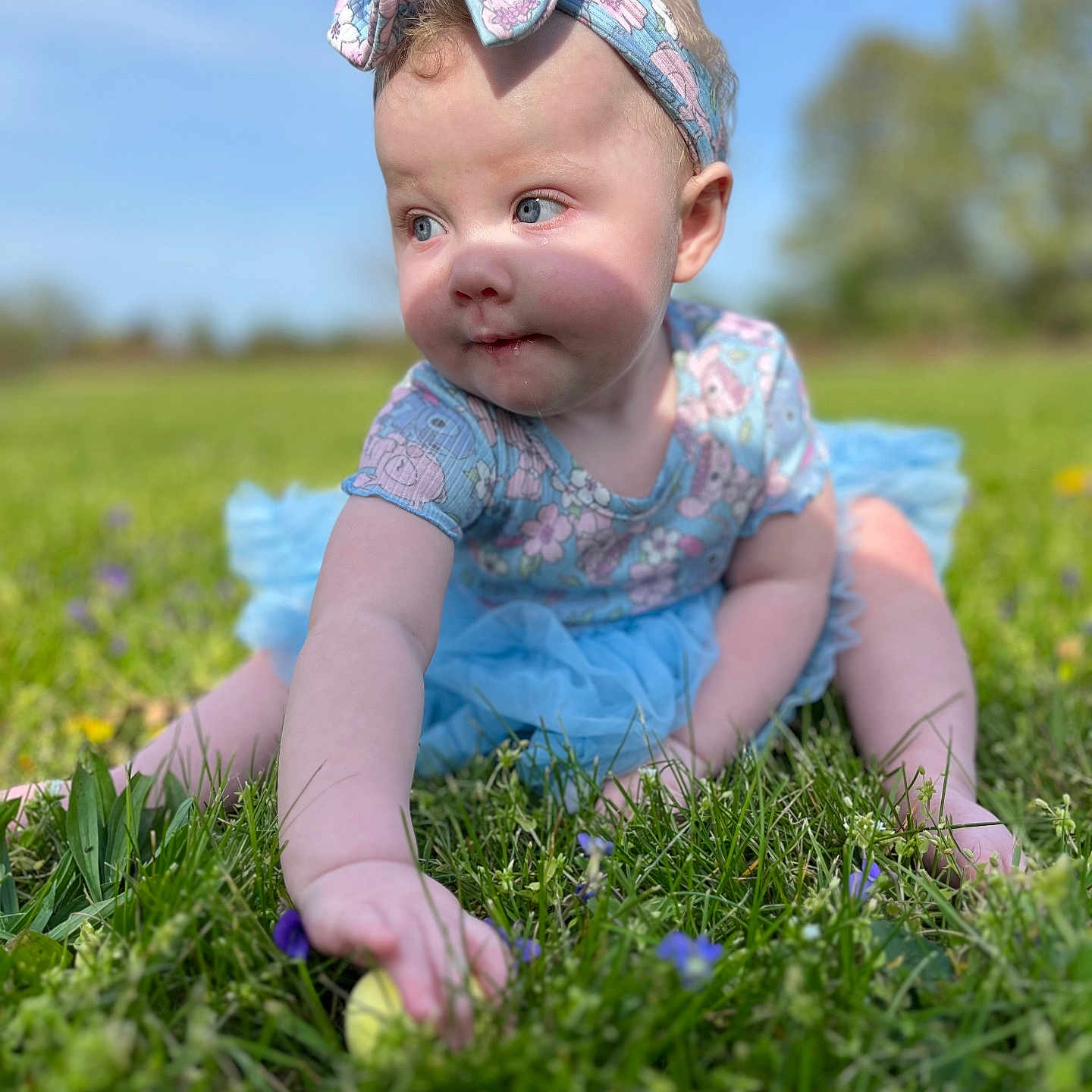 Veronica joined the competition — help win amazing prizes! baby, blue_dress, child, closeup, crawling, curious, daylight, field, flowers, girl, grass, headband, infant, nature, outdoor, person, portrait, skin, sunny, toddler