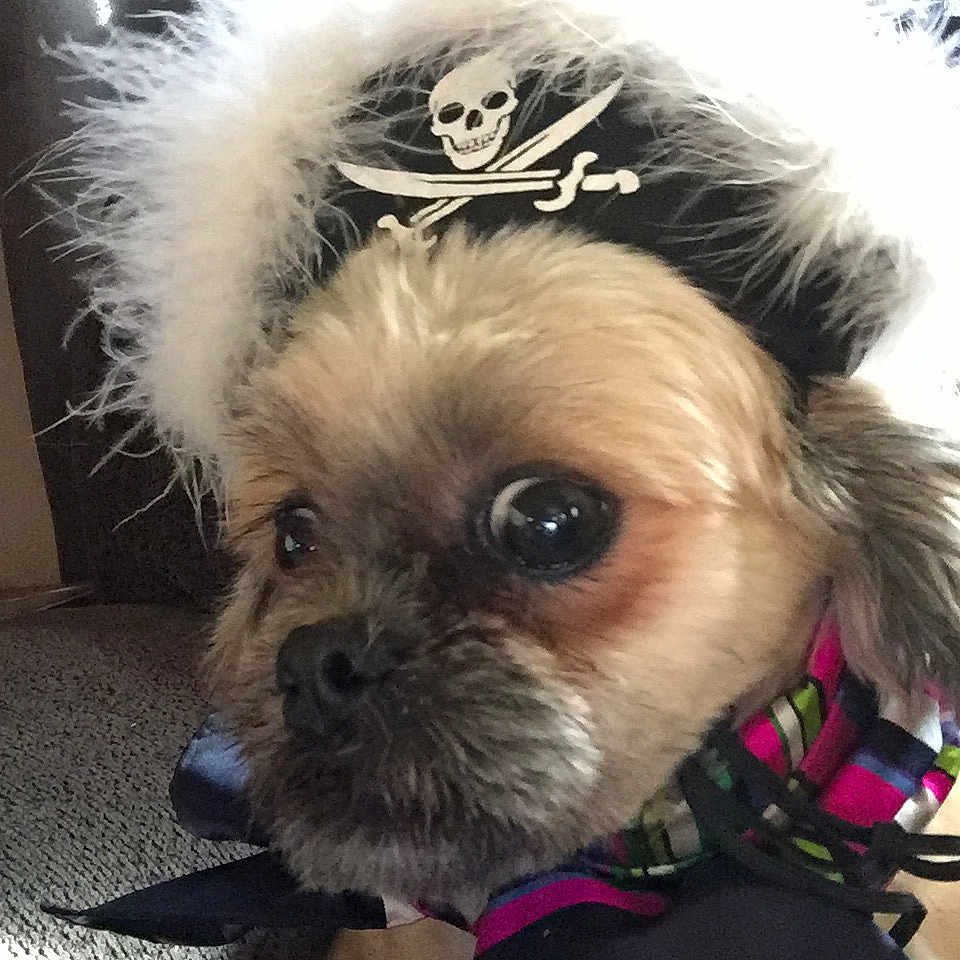 Charlie