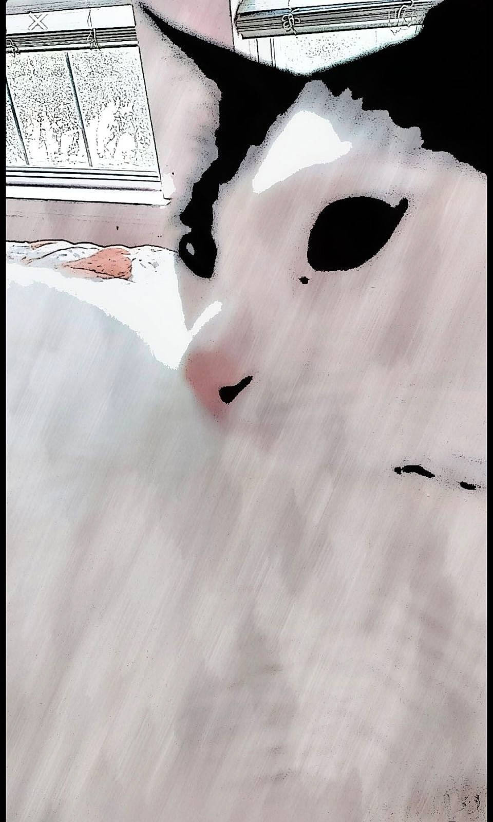 Zany is registered to the contest to win money with this photo: art, bovine, dairy_cow, eyelash, fictional_character, font, fur, illustration, livestock, monochrome, monochrome_photography, pattern, snout, still_life_photography, terrestrial_animal, tree, visual_arts, whiskers, wildlife, working_animal