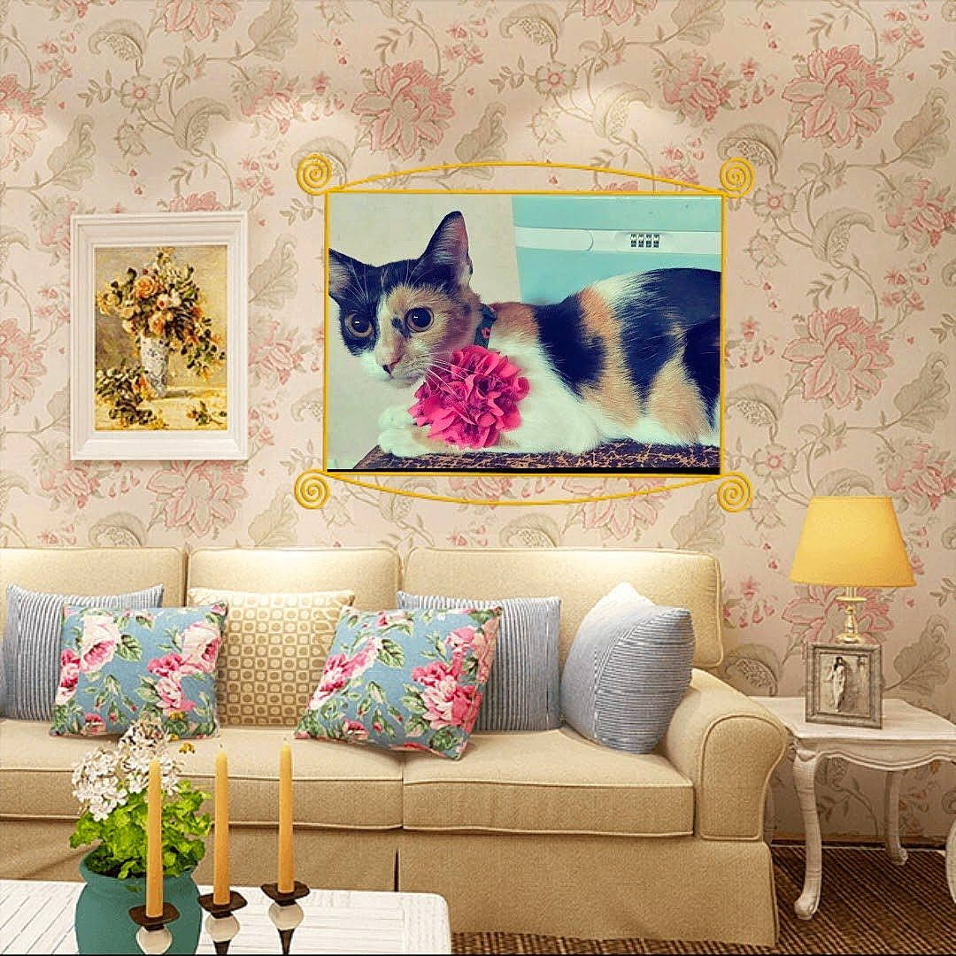 Christmas joined the competition — help win amazing prizes! art, cat, comfort, couch, furniture, grey, interior_design, line, living_room, orange, picture_frame, pillow, plant, product, purple, rectangle, studio_couch, textile, wall, yellow