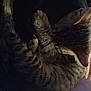 kitten, cat, sleeping, fur, tabby, paw, cozy, blanket, dark, rest, cute, animal, pet, feline, striped, soft, nap, indoors, comfort, closeup