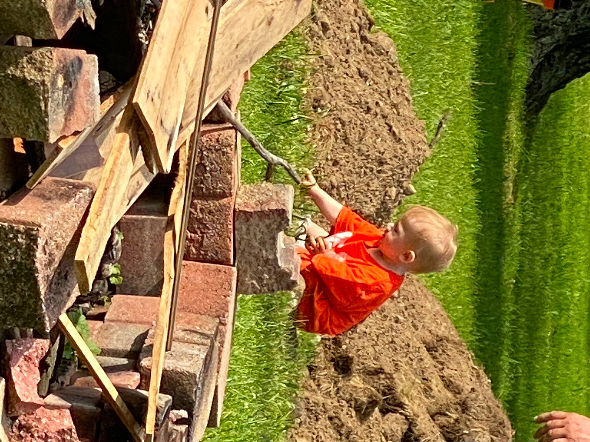 Owen joined the competition — help win amazing prizes! adaptation, adventure, agriculture, fun, grass, landscape, leaf, leisure, people_in_nature, person, plant, plant_stem, plantation, recreation, rope, rural_area, soil, toddler, tree, trunk