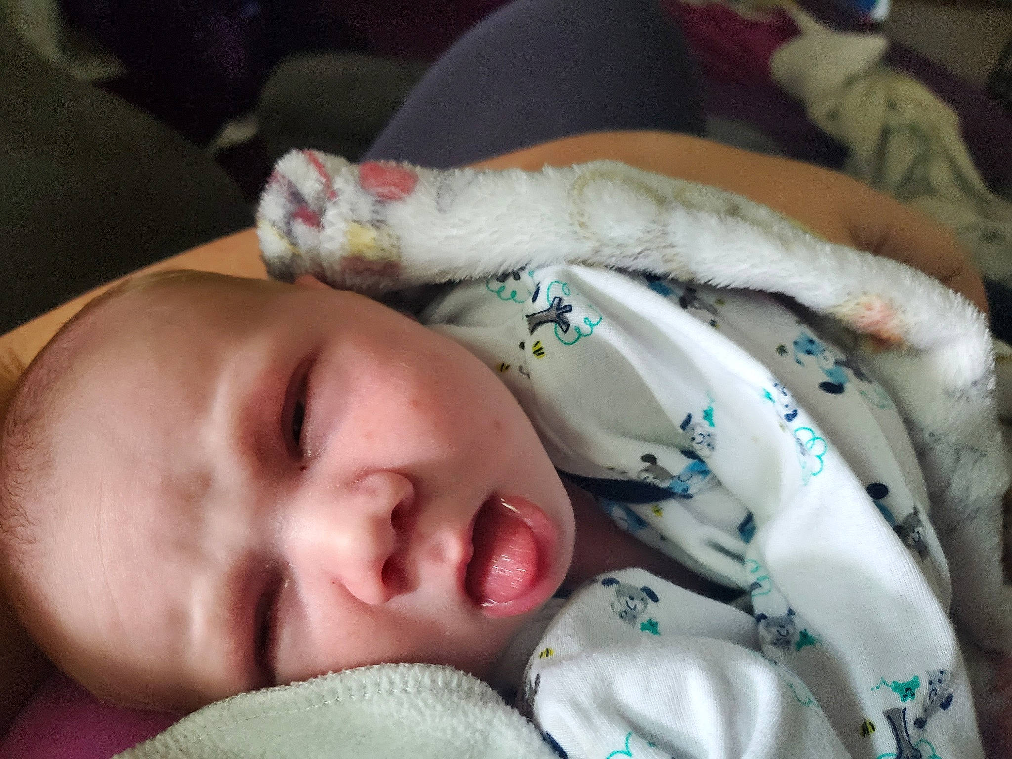 Orion joined the competition — help win amazing prizes! baby, baby_products, baby_toddler_clothing, bedtime, cheek, child, comfort, ear, eye, eyelash, felidae, finger, linens, nap, nose, person, skin, sleep, small_to_medium_sized_cats, toddler