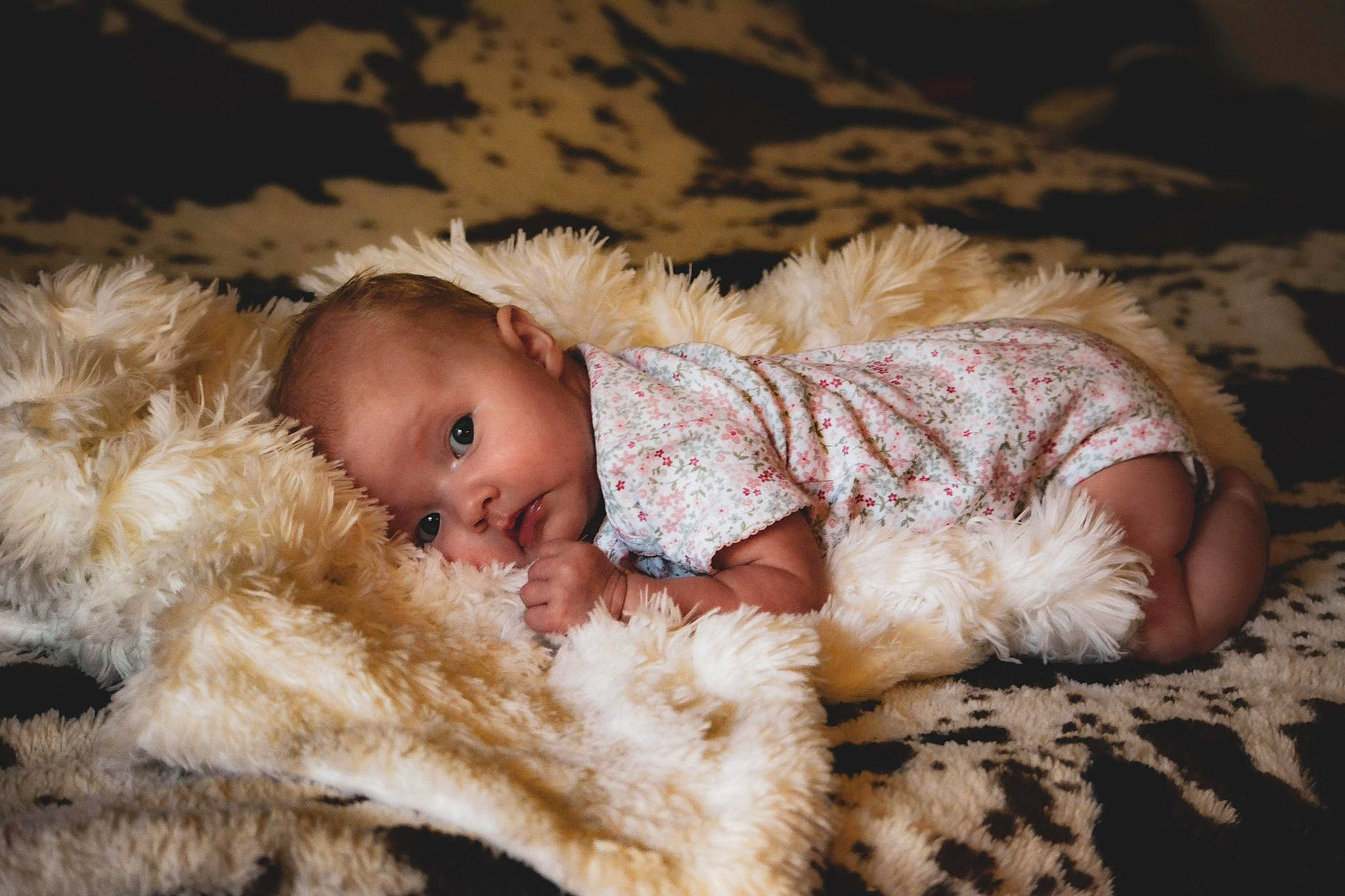 Crystal is registered to the contest to win money with this photo: baby, baby_toddler_clothing, child, comfort, ear, eye, face, fawn, flash_photography, fur, fur_clothing, grass, happy, hat, head, person, skin, toddler, winter, wood