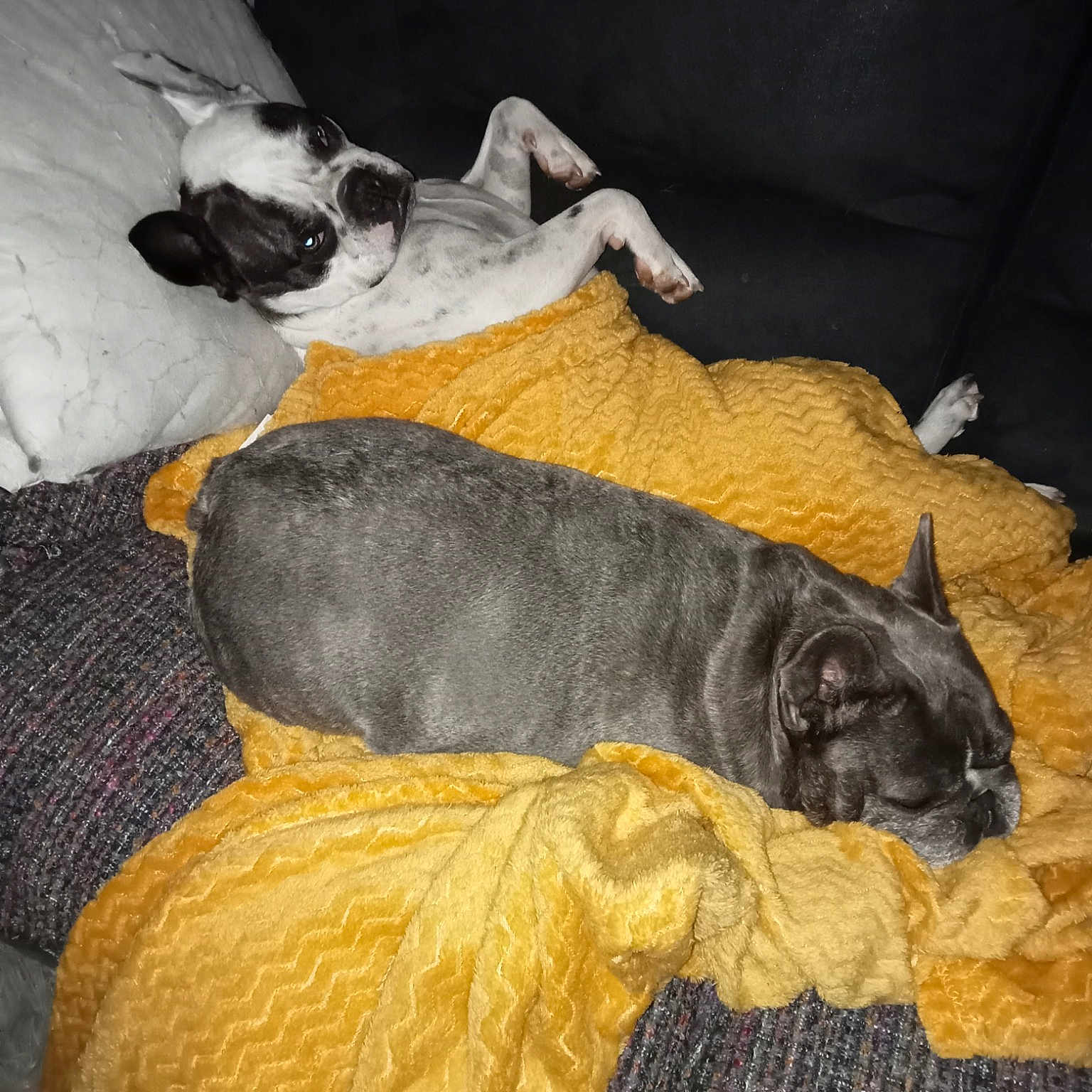 Océa Et Lilas