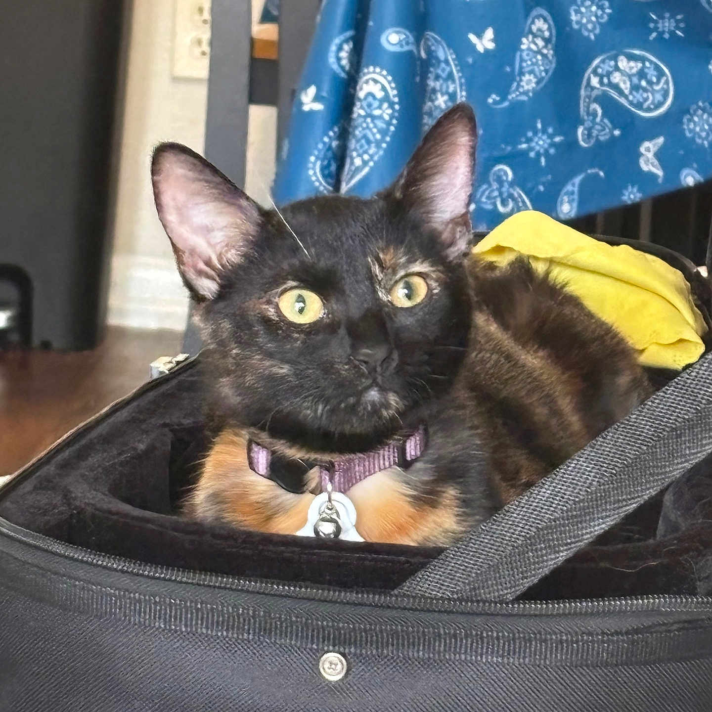 Luna