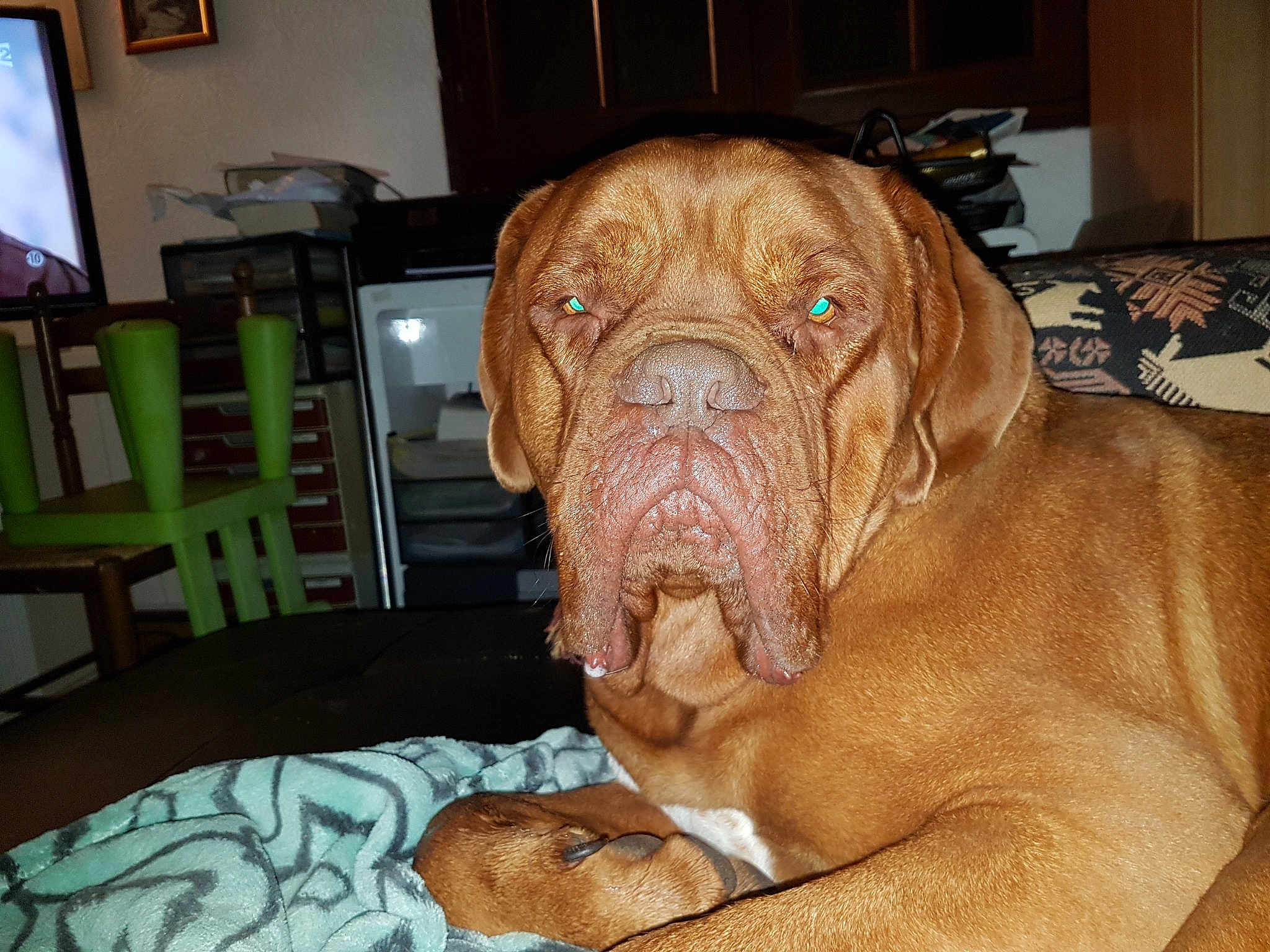 Athos