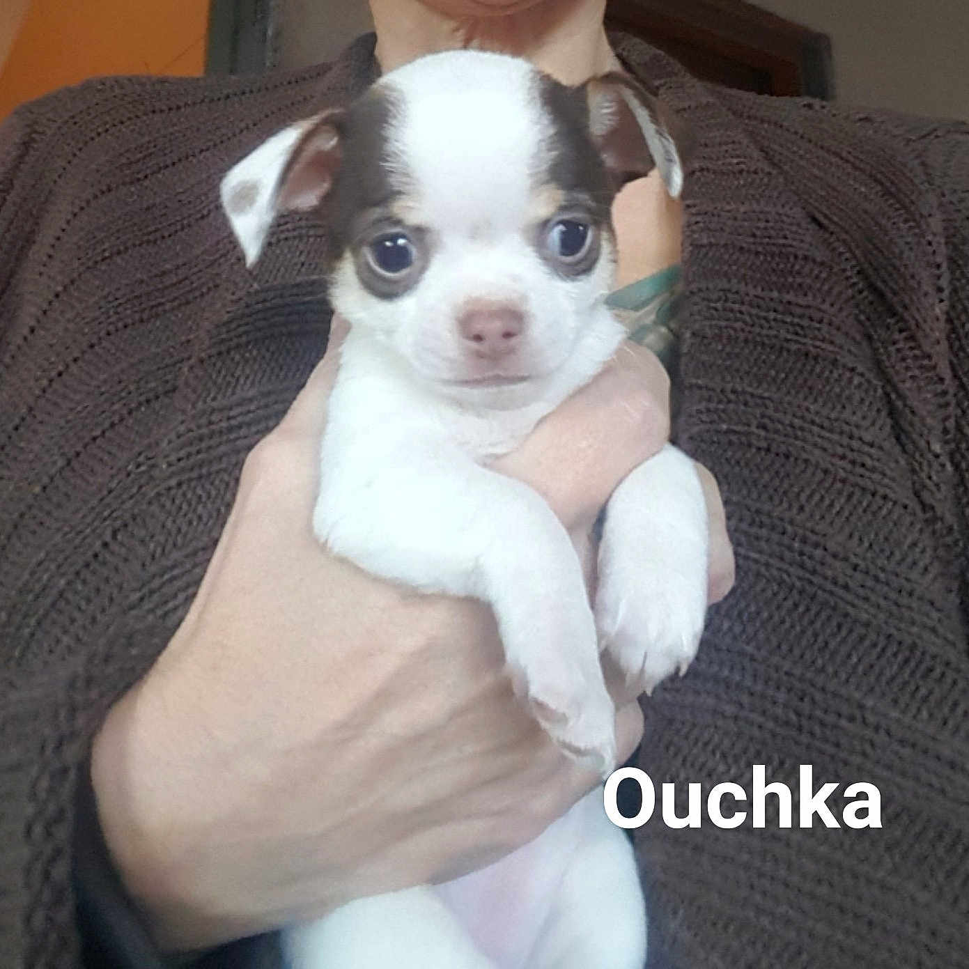 Ouchcka