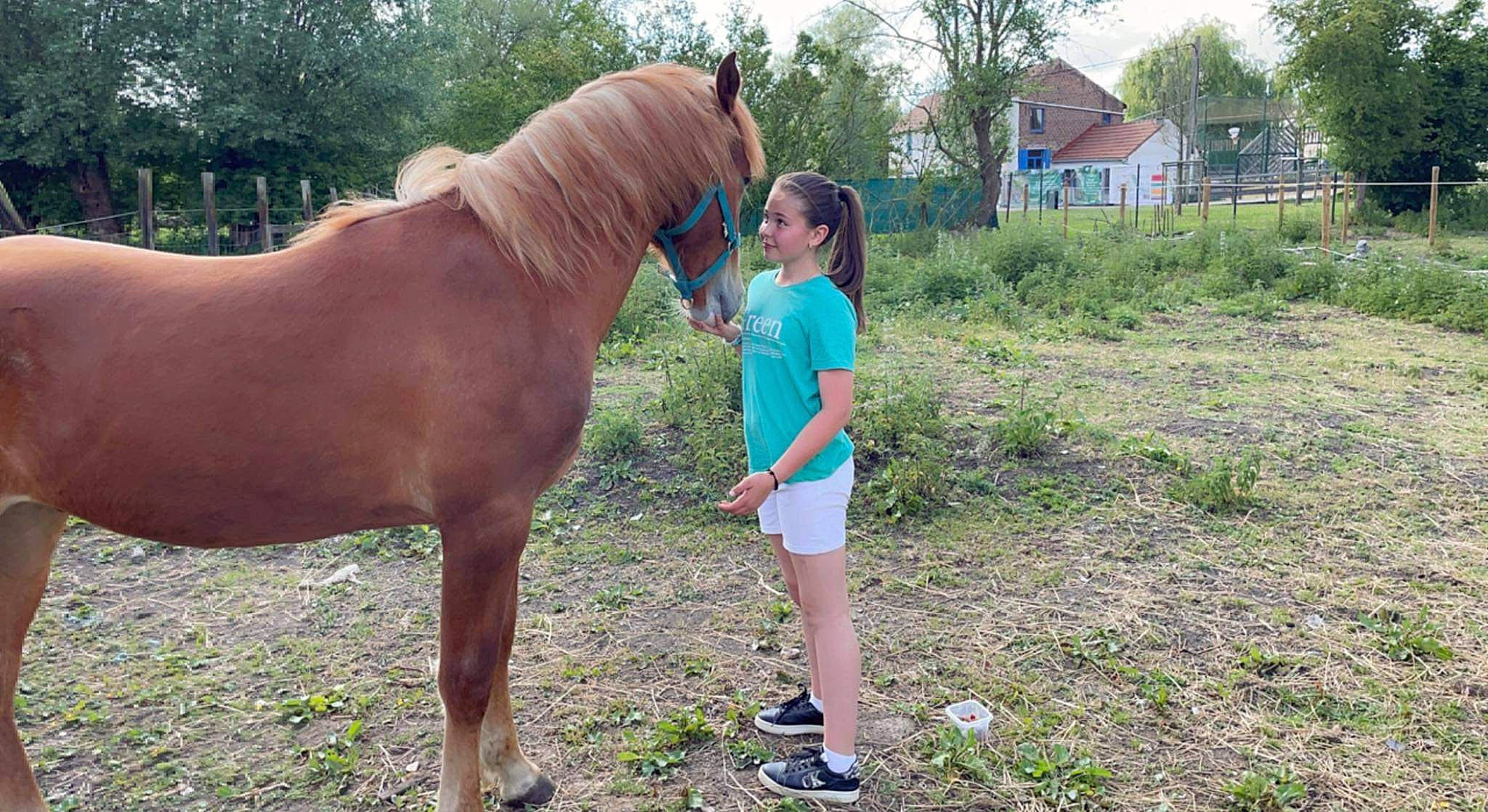 Selena a rejoint le concours — aidez-le/la à gagner de superbes lots ! bridle, fawn, grass, grassland, horse, horse_supplies, horse_tack, liver, mane, meadow, pack_animal, people_in_nature, person, plant, recreation, rein, shorts, sorrel, terrestrial_animal, tree