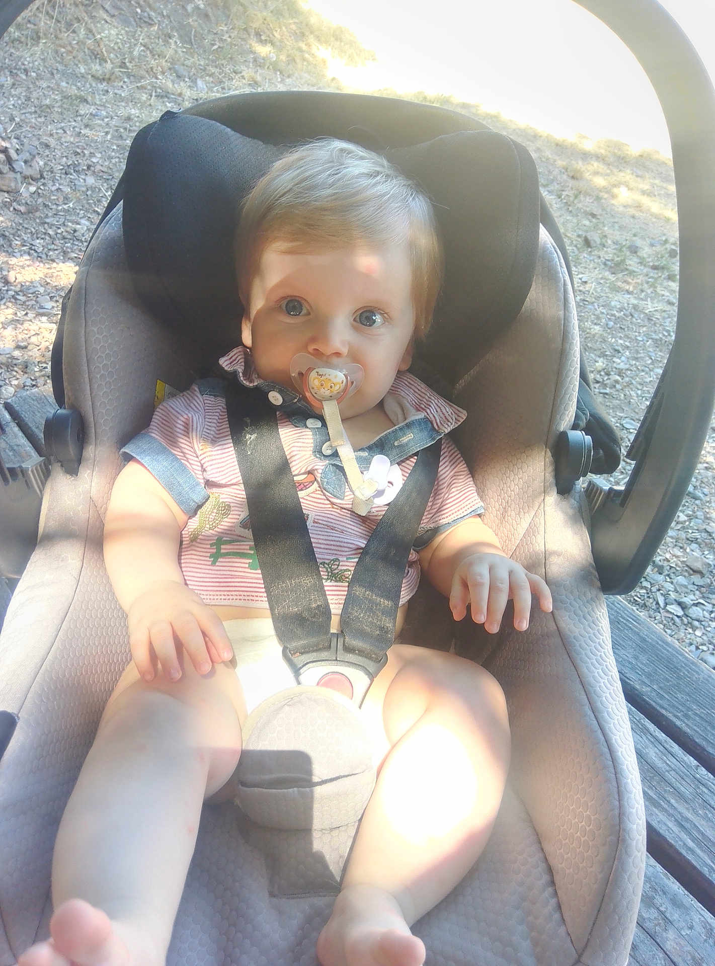 Kenzo a rejoint le concours — aidez-le/la à gagner de superbes lots ! baby, pacifier, car_seat, outdoor, sunlight, shadow, child, toddler, seatbelt, clothing, person, skin, legs, hand, face, hair, nature, wood, ground, daylight