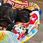 Kara is registered to the contest to win money with this photo: dog, black_dog, blanket, cartoon, colorful, floor, tile_floor, resting, lying_down, pet, cozy, snuggling, indoor, canine, animal, cute, playful, relaxed, comfort, domestic_animal