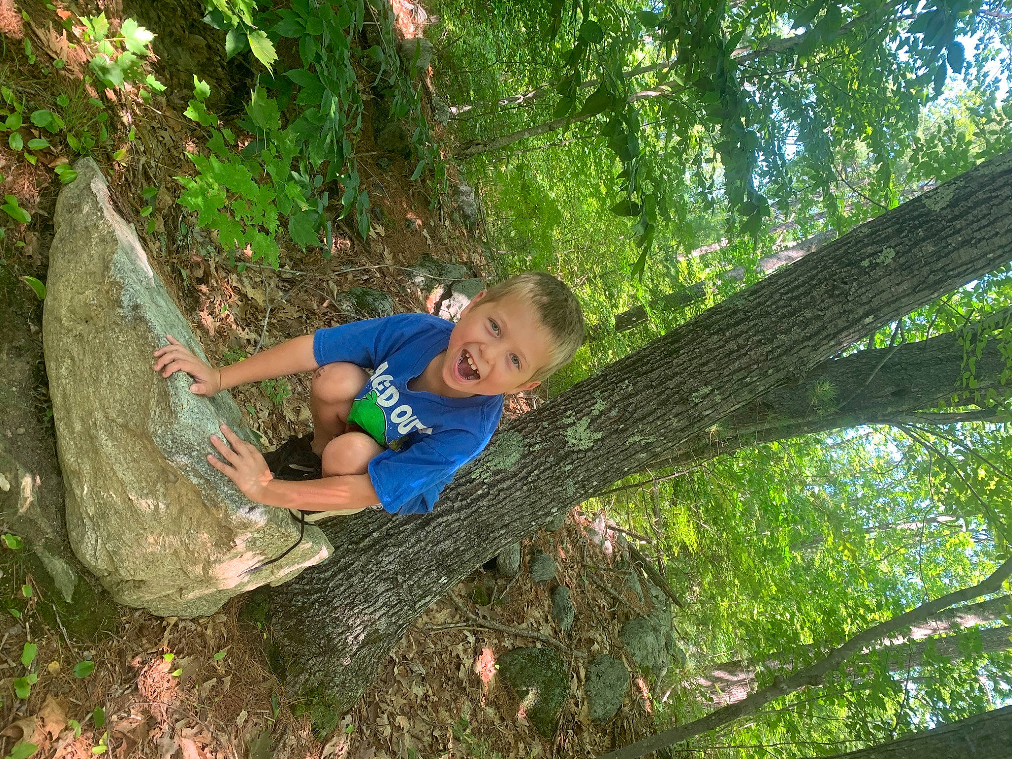 Kaison is registered to the contest to win money with this photo: botany, forest, grass, groundcover, grove, jungle, leisure, northern_hardwood_forest, old_growth_forest, people_in_nature, person, plant, recreation, t_shirt, temperate_broadleaf_and_mixed_forest, terrestrial_plant, tree, trunk, valdivian_temperate_rain_forest, wood